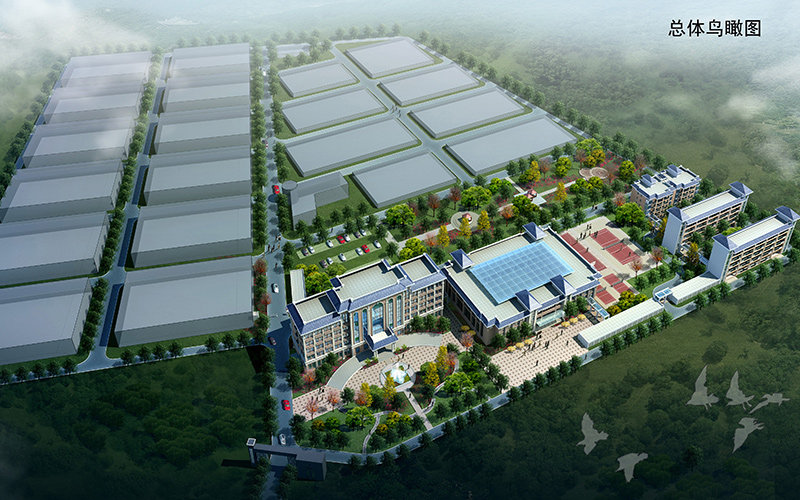 市政道路工程監(jiān)理工作舉措，都可以從哪些層面分析
